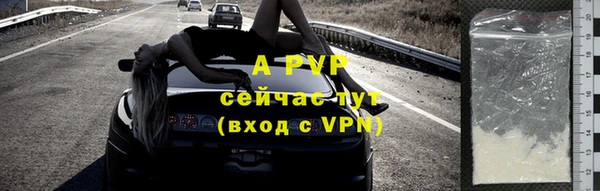 дмт Богданович
