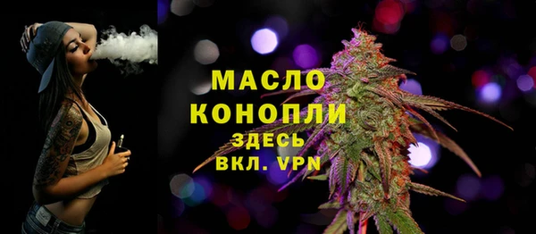 дмт Богородицк