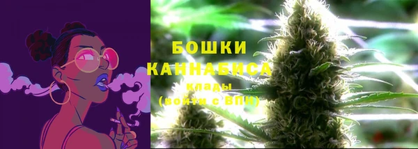 дмт Богданович
