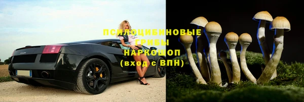 дмт Богданович