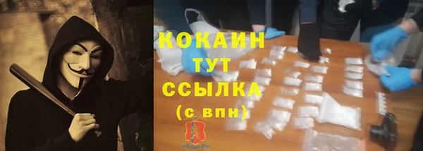 дмт Богданович