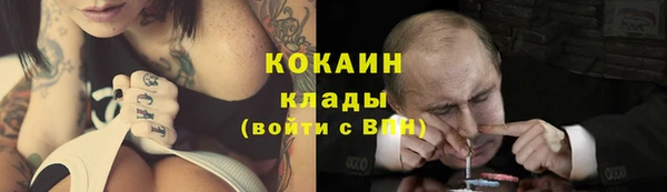 дмт Богородицк