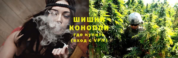 дмт Богородицк