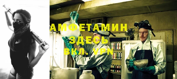 дмт Богданович
